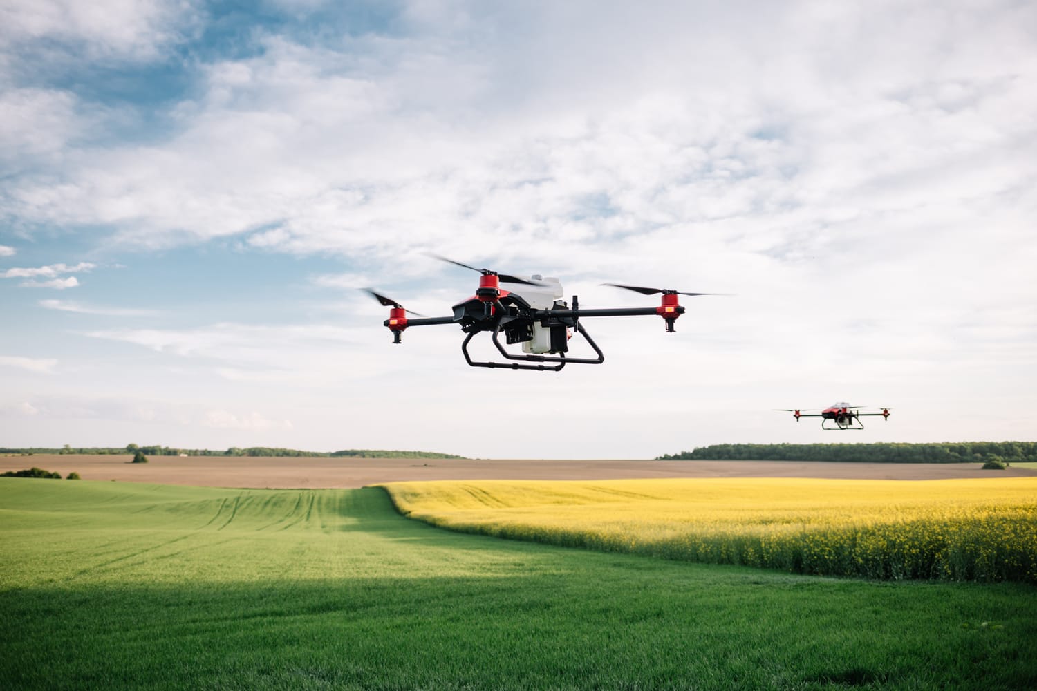 Agriculture